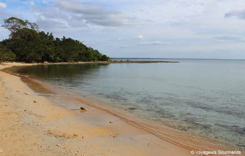 visiter playa larga 8