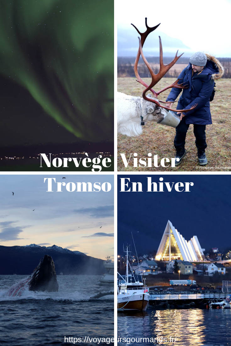 Tromsø no inverno