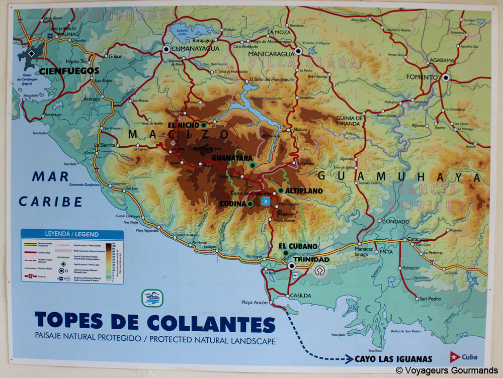 topes de collantes
