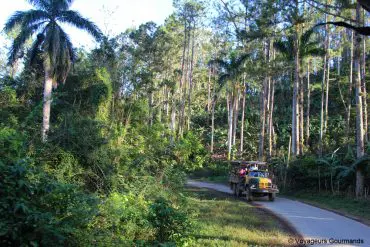 topes de collantes