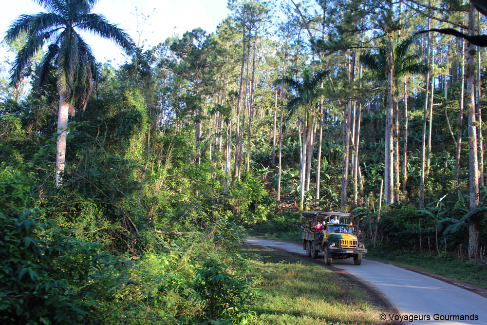 visiter trinidad
