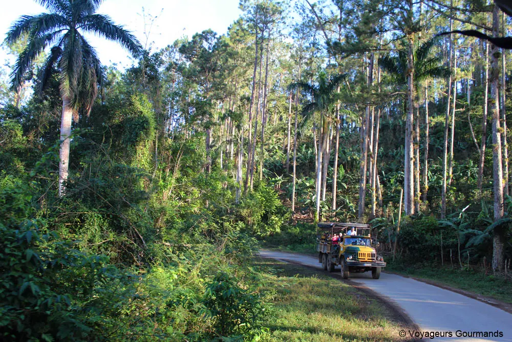 visiter trinidad 2