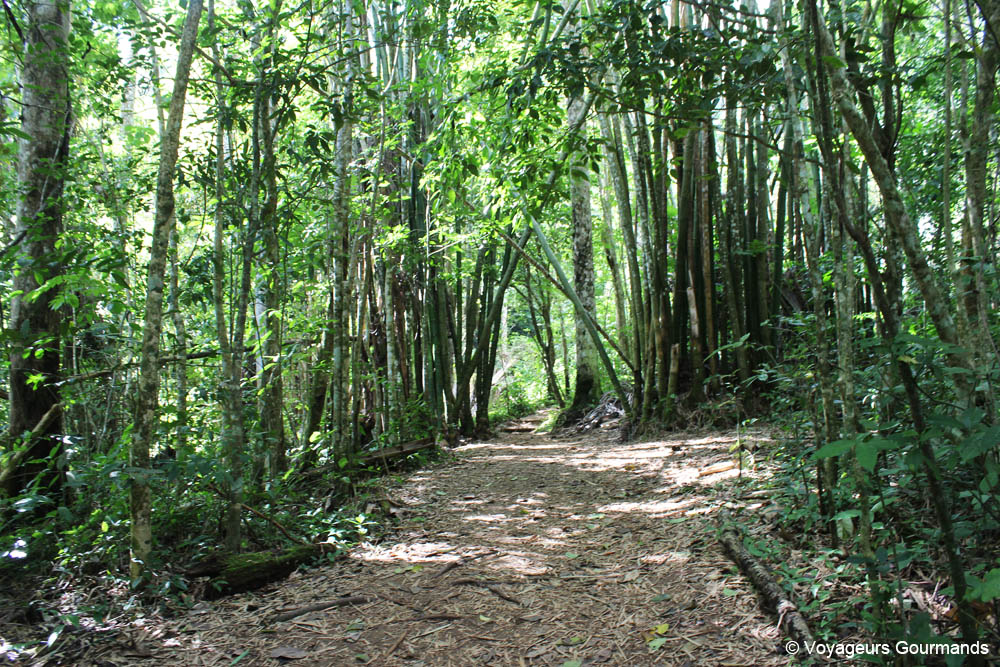 visiter trinidad