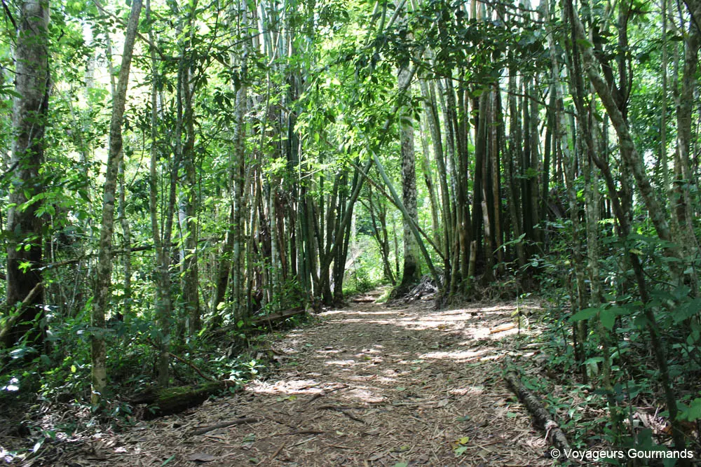 visiter trinidad 8