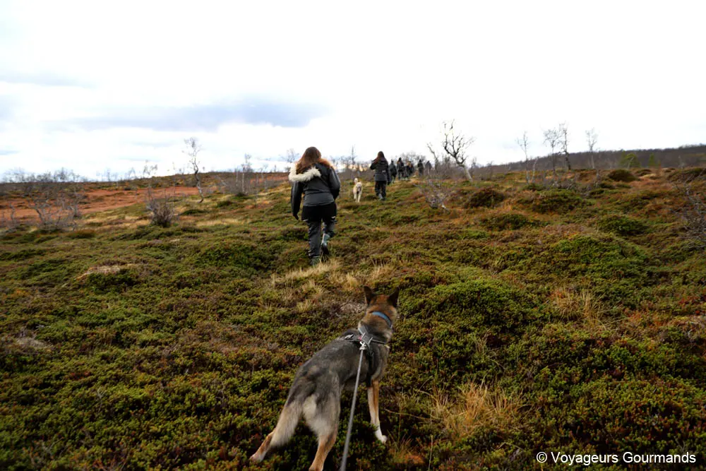 visiter tromso en hiver 1