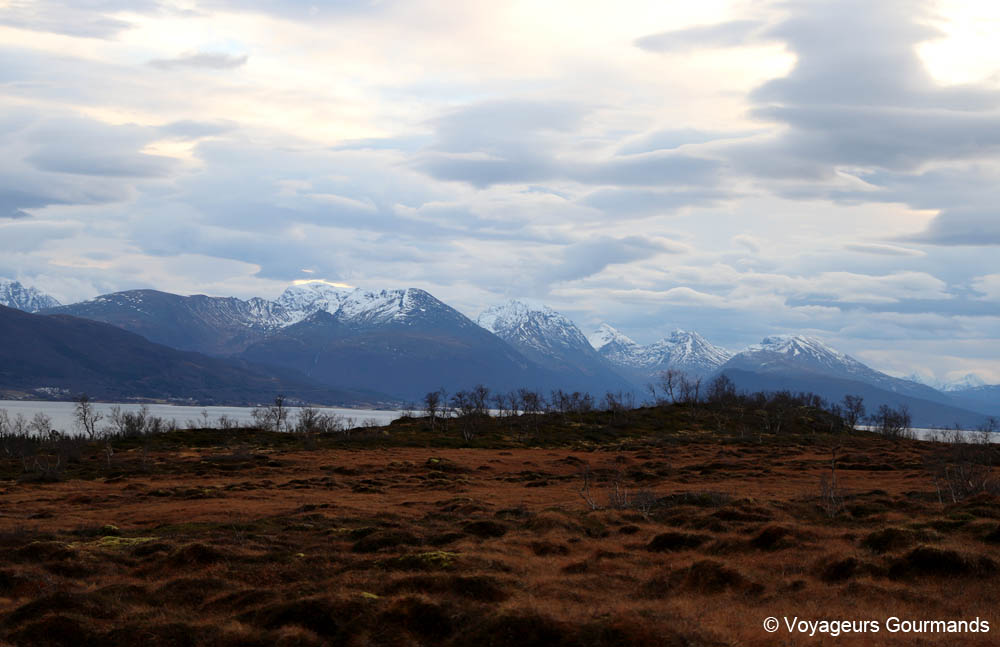 visiter tromso en hiver
