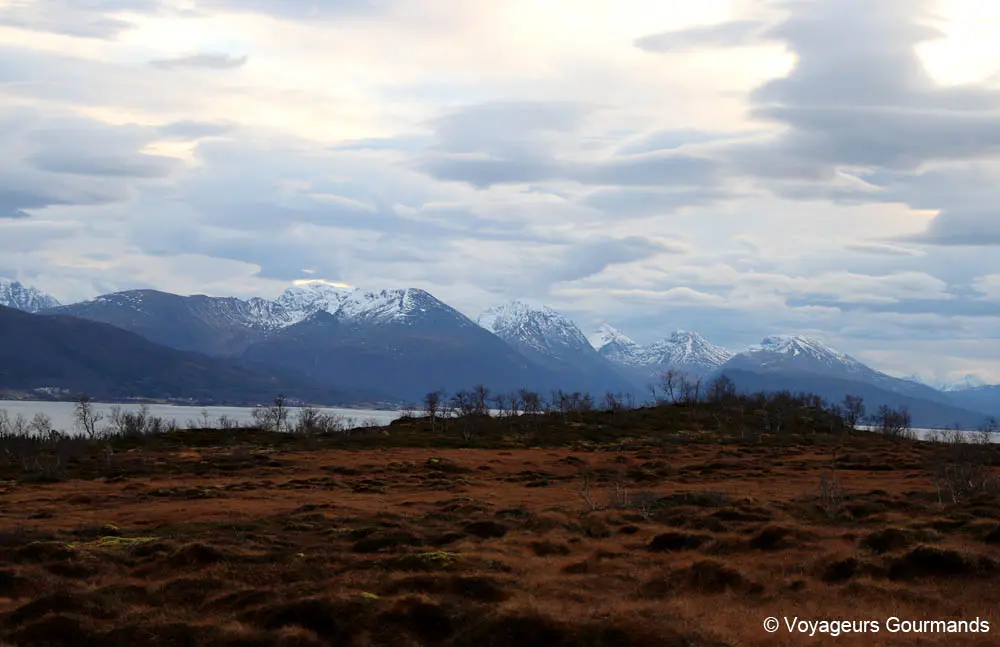 visiter tromso en hiver 2