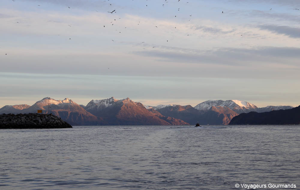 visiter tromso en hiver