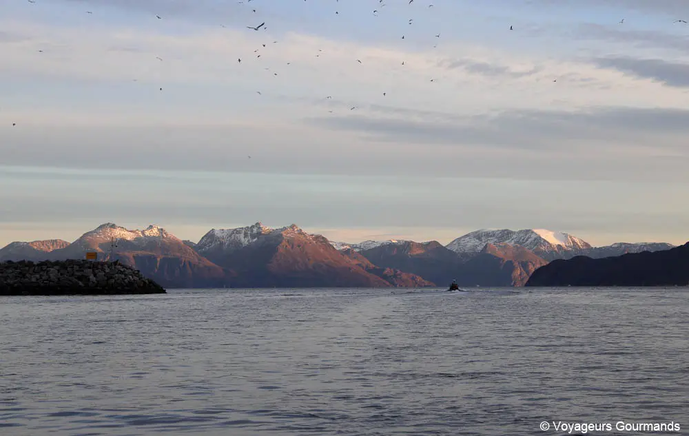 visiter tromso en hiver 20