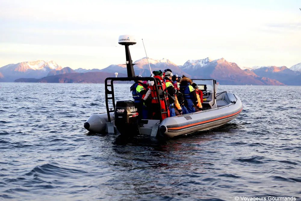 visiter tromso en hiver 21