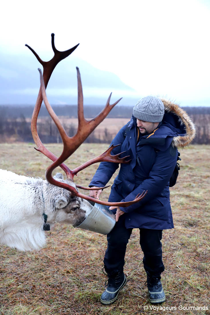 visiter tromso en hiver