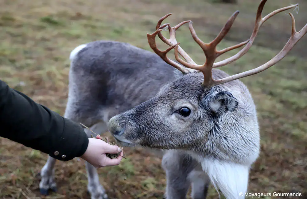 visiter tromso en hiver 30