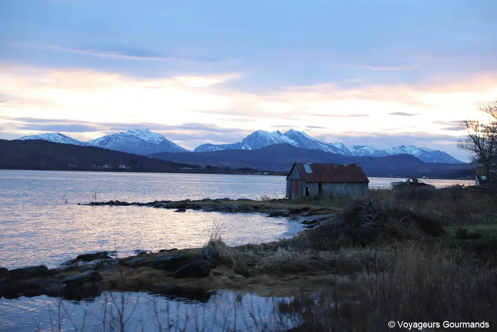 visiter tromso en hiver 39