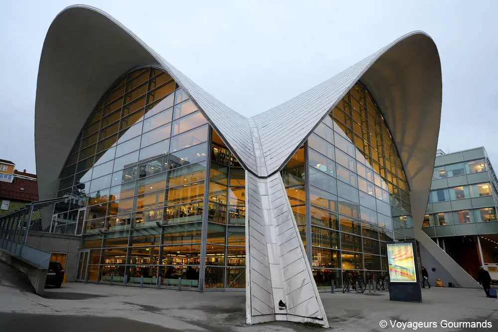 visiter tromso en hiver 8