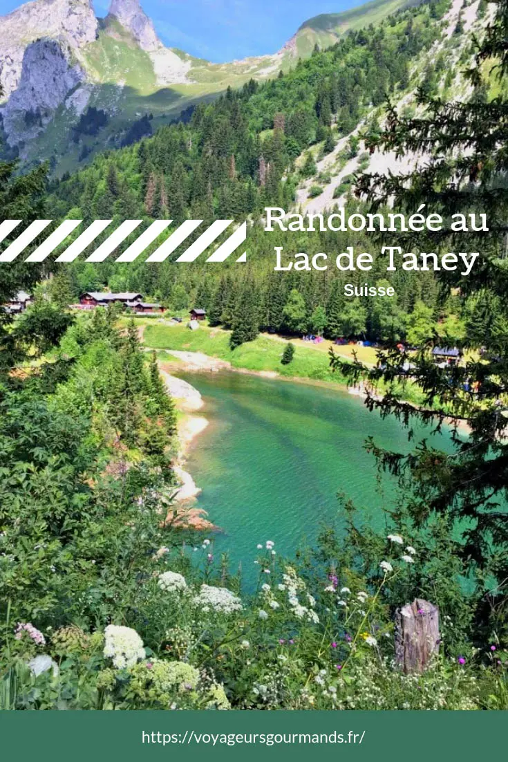 Randonnée au Lac de Taney