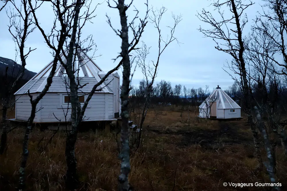 lavvo en norvege 10