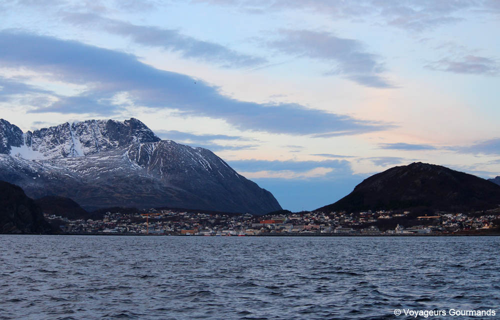orques et baleines en norvege