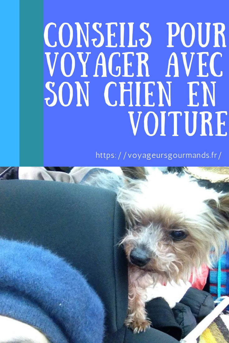 Conseils pour voyager avec son chien en voiture