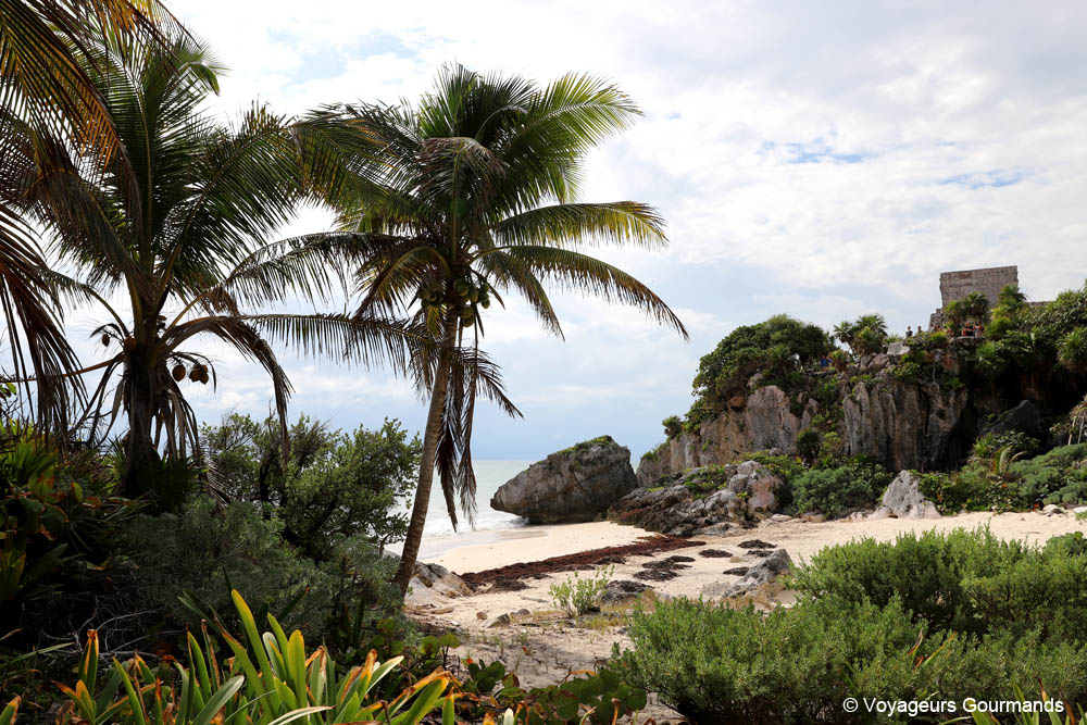 que faire a tulum et ses alentours