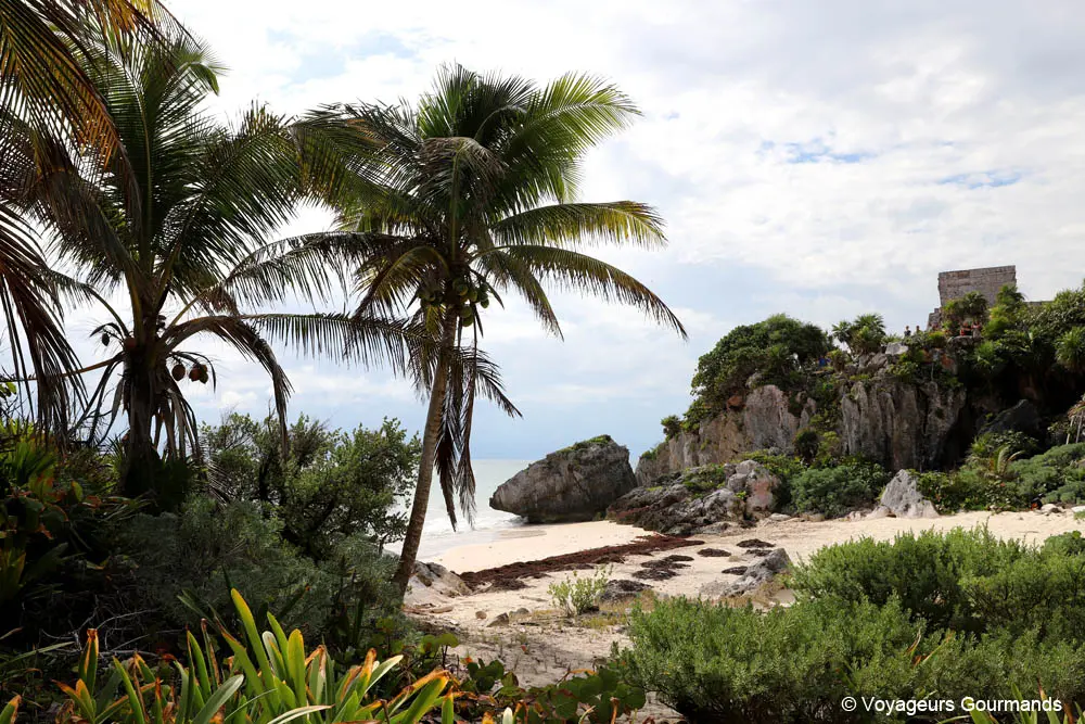 que faire a tulum et ses alentours 22