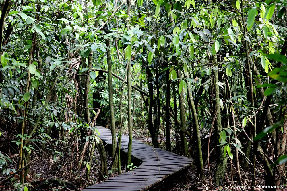 que faire a tulum et ses alentours 23