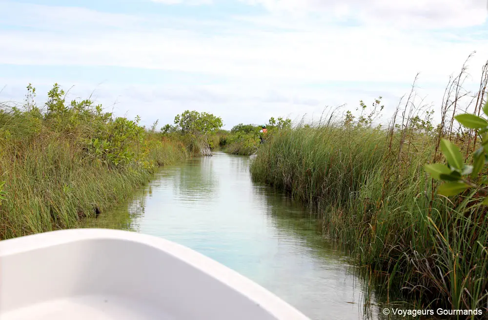 que faire a tulum et ses alentours 25
