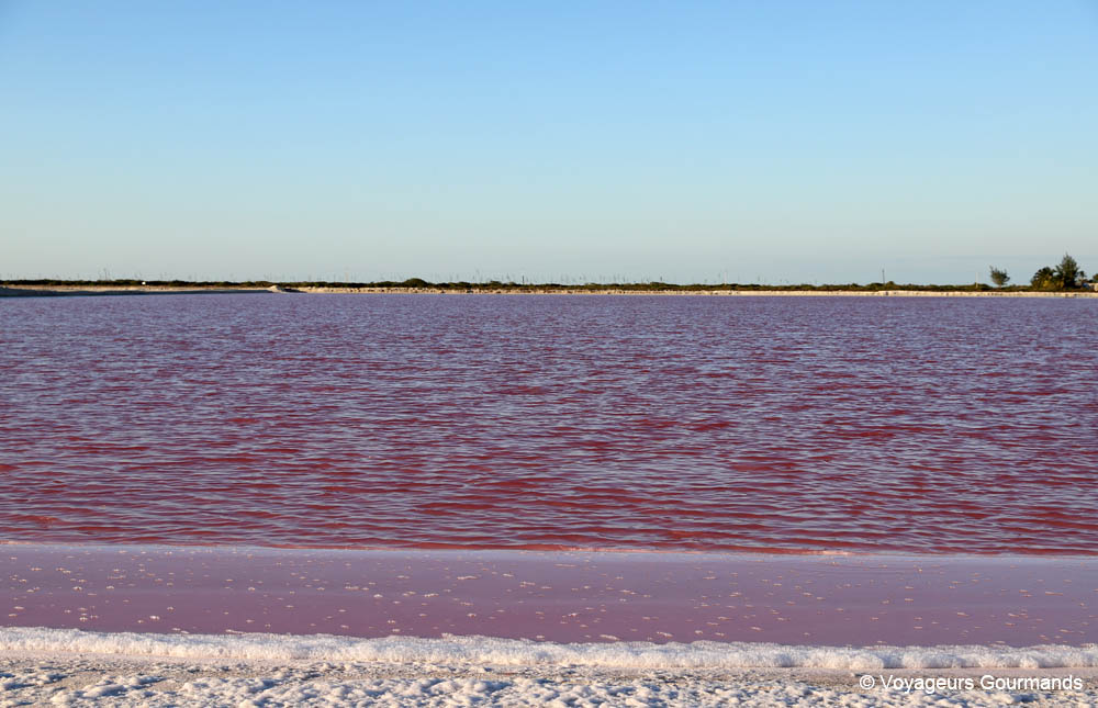 road trip dans le Yucatan