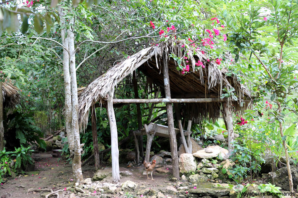 road trip dans le Yucatan