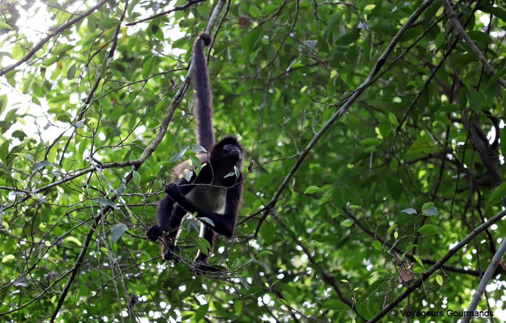road trip dans le Yucatan
