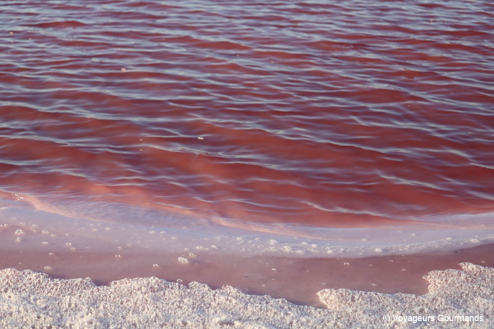 road trip dans le Yucatan