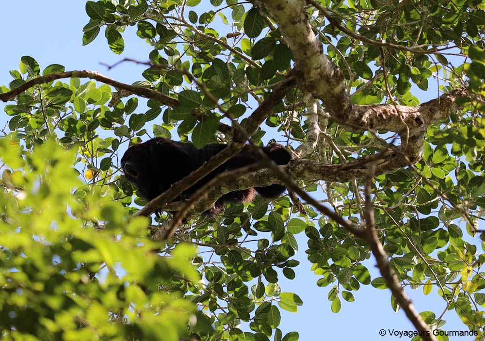 road trip dans le Yucatan