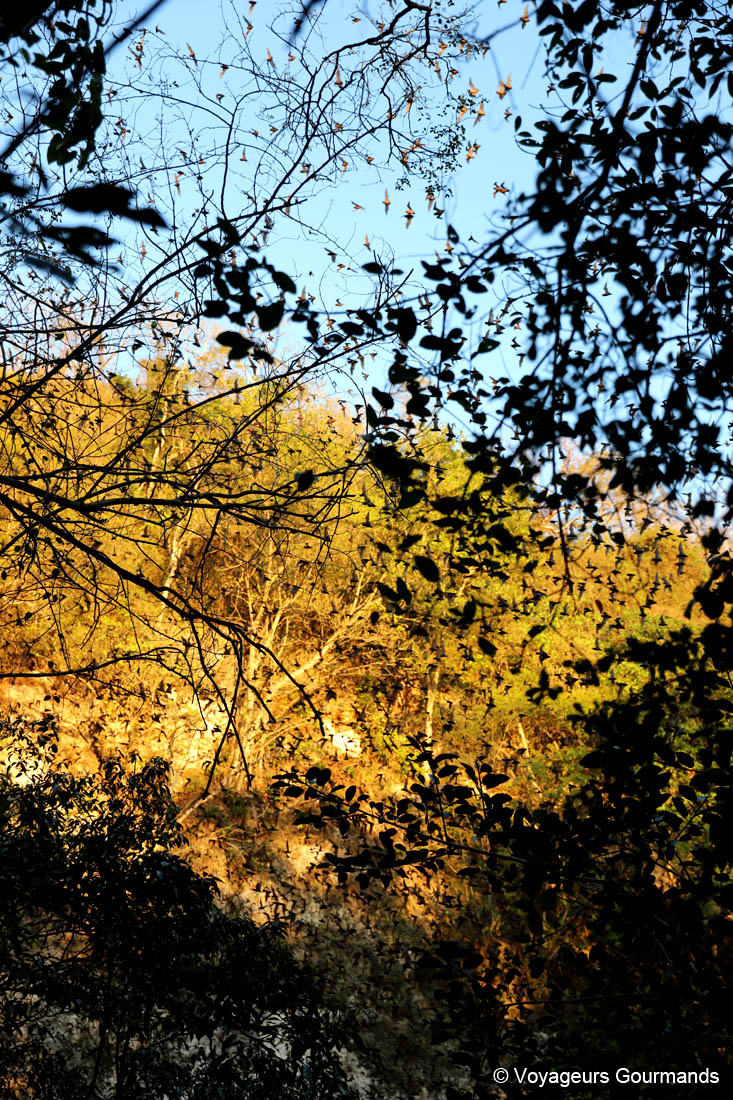 road trip dans le Yucatan