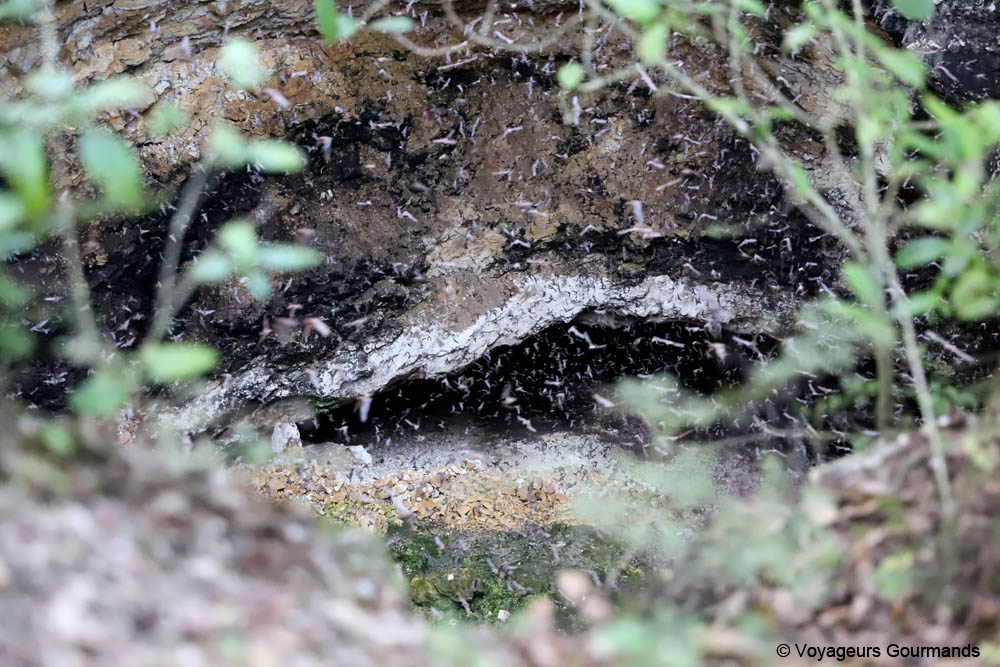 road trip dans le Yucatan