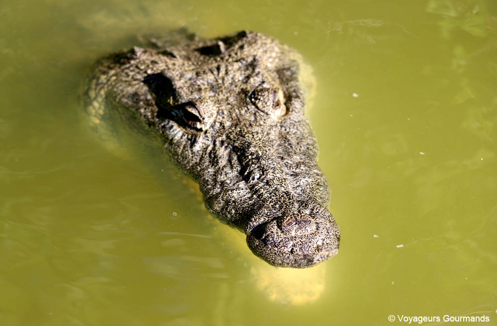road trip dans le Yucatan