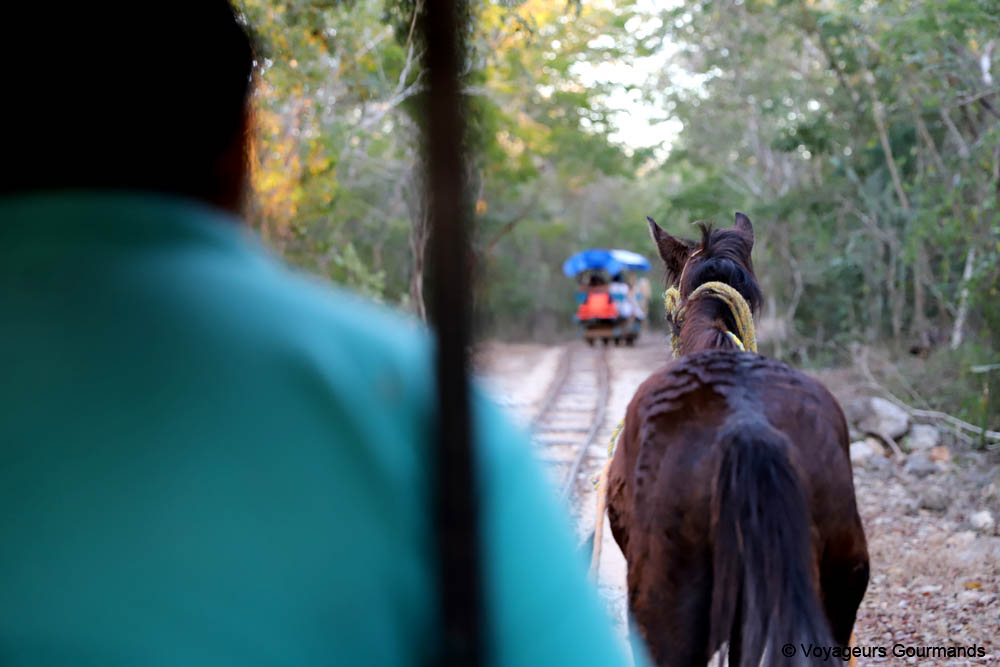road trip dans le Yucatan 37