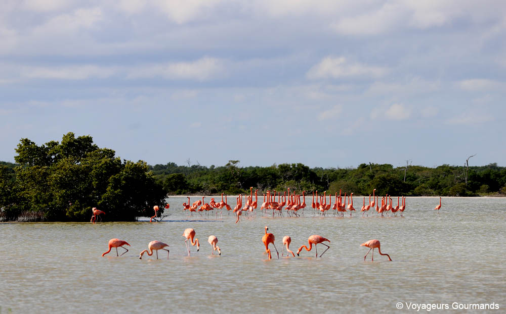road trip dans le Yucatan