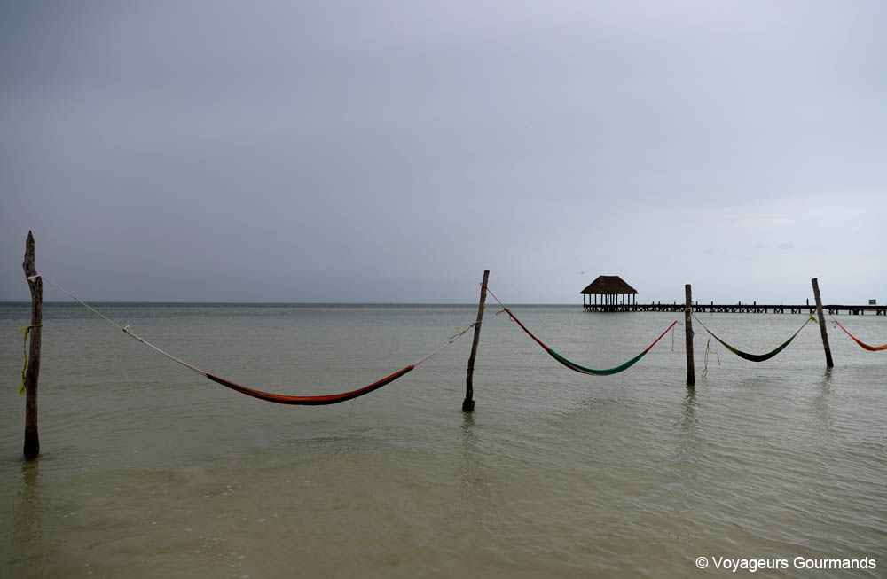 road trip dans le Yucatan 48