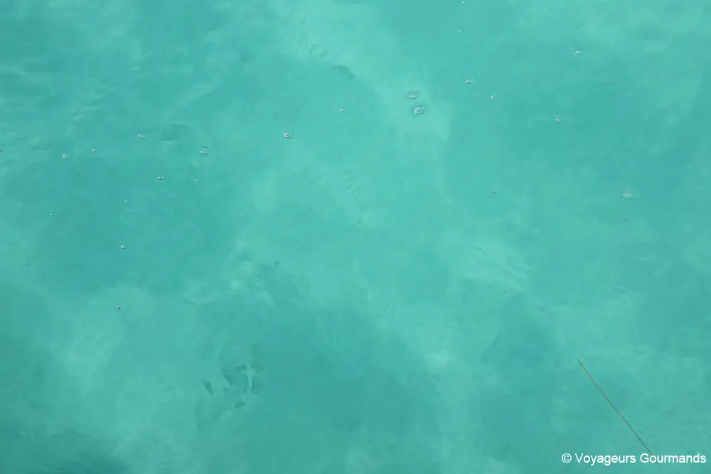 bacalar yucatan 20
