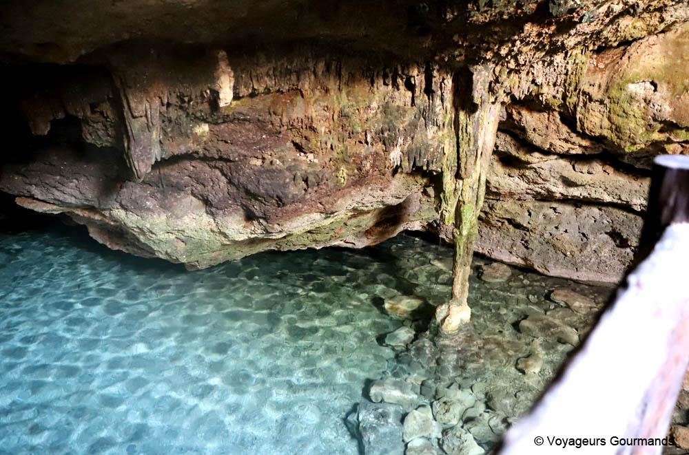 cenotes du yucatan