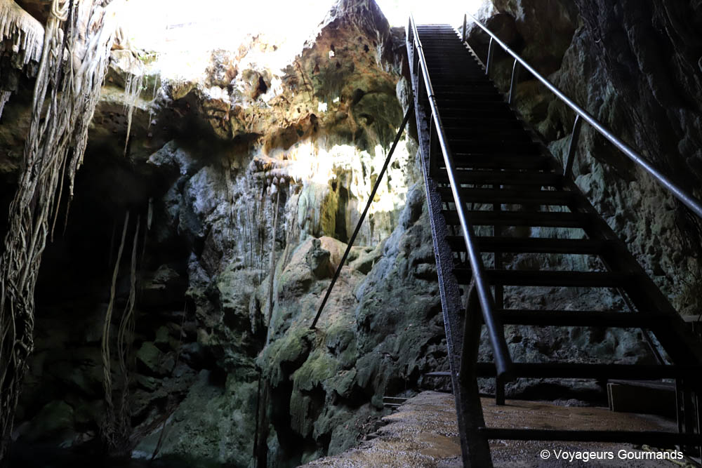 cenotes du yucatan