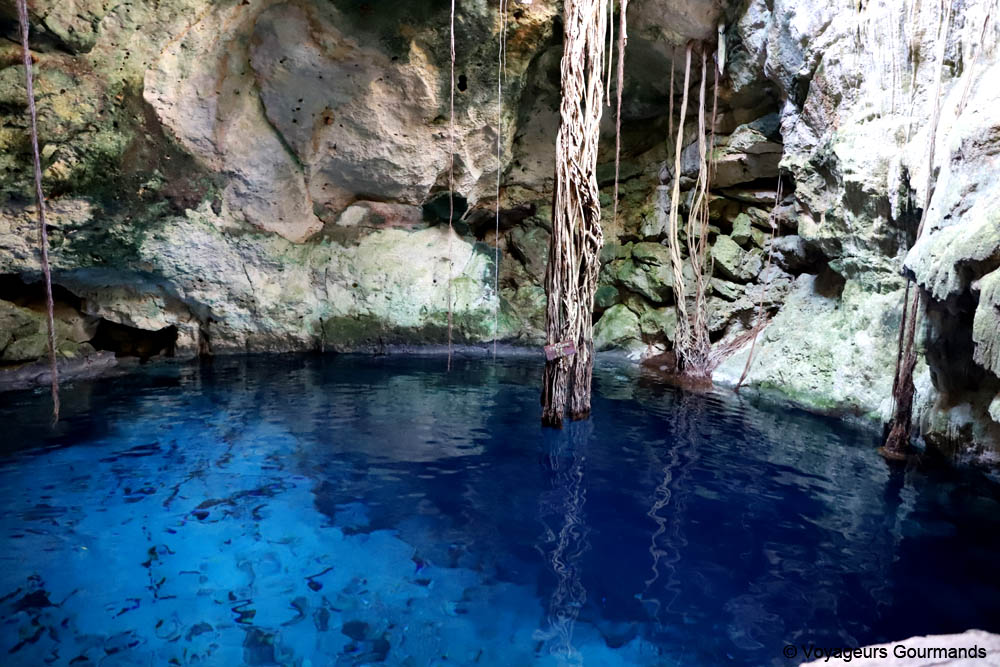 cenotes du yucatan