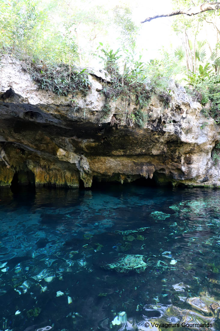 cenotes du yucatan