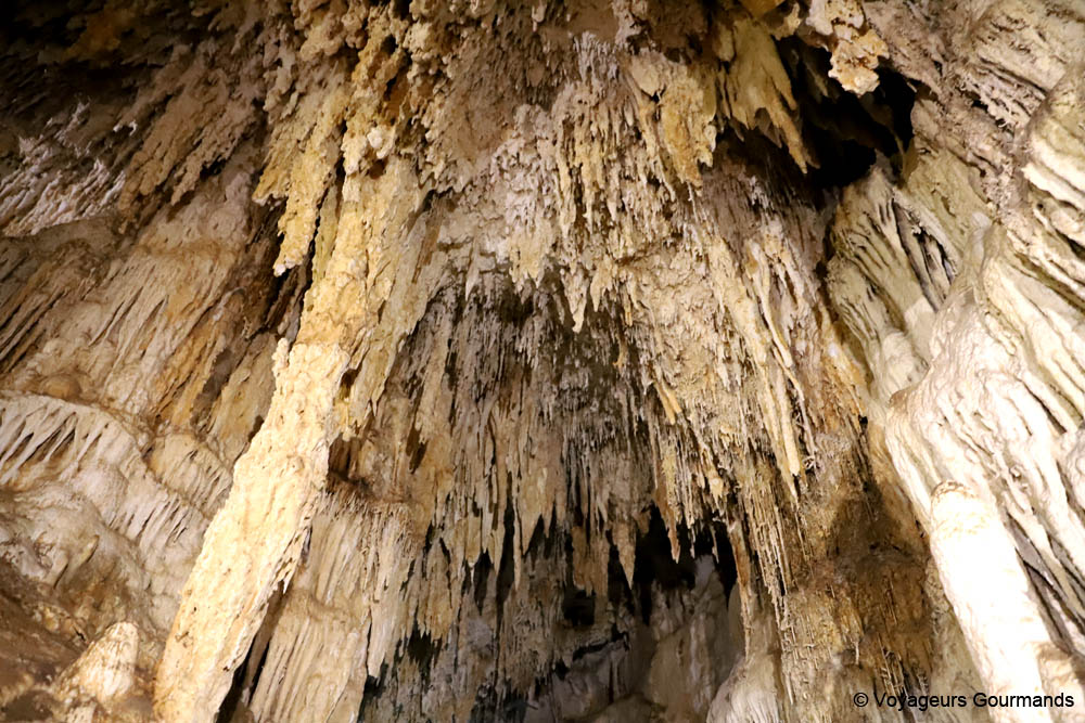 cenotes du yucatan