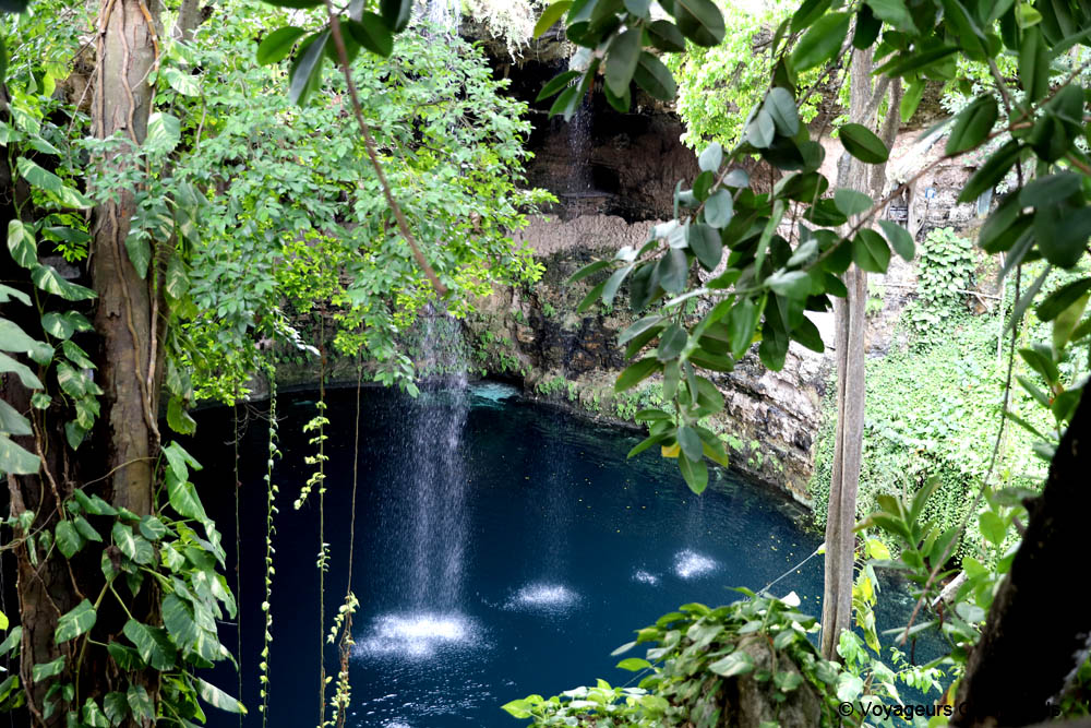 cenotes du yucatan