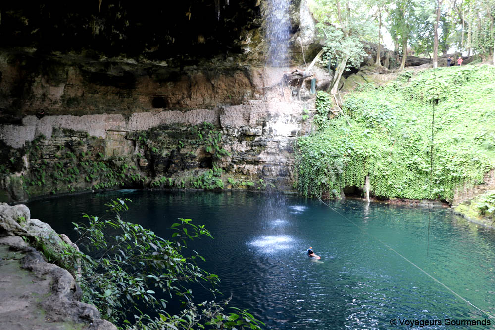 cenotes du yucatan