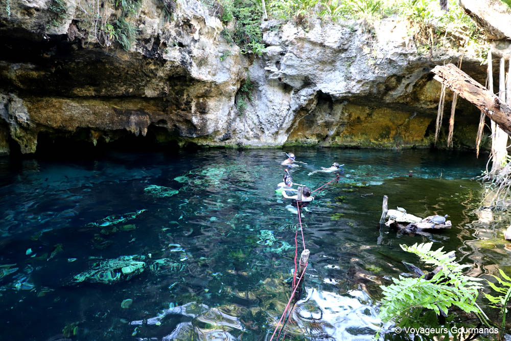 cenotes du yucatan