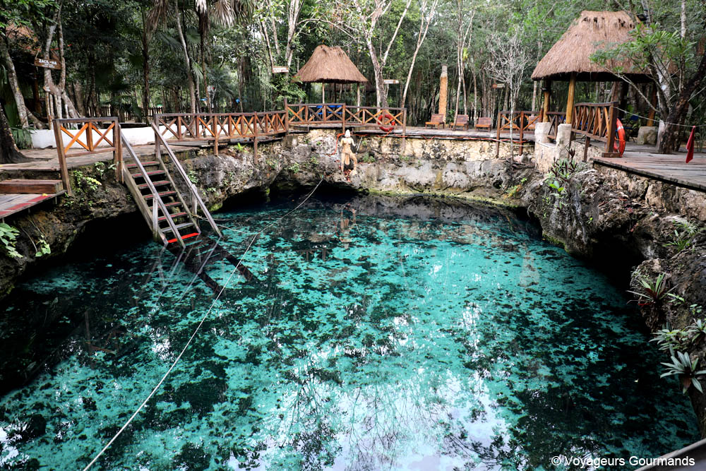 cenotes du yucatan
