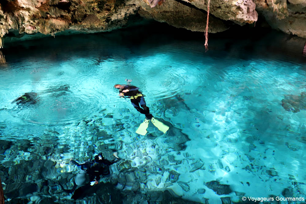 cenotes du yucatan