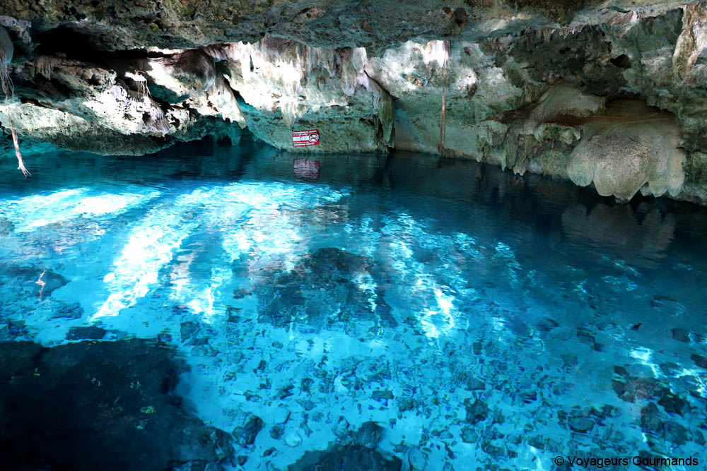 cenotes du yucatan