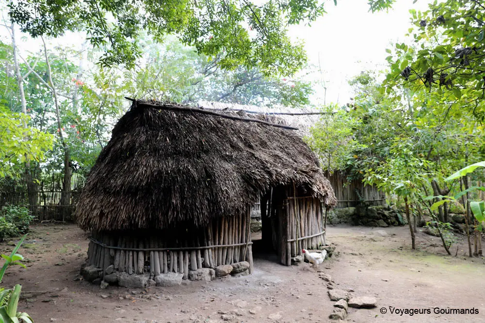 punta laguna 31